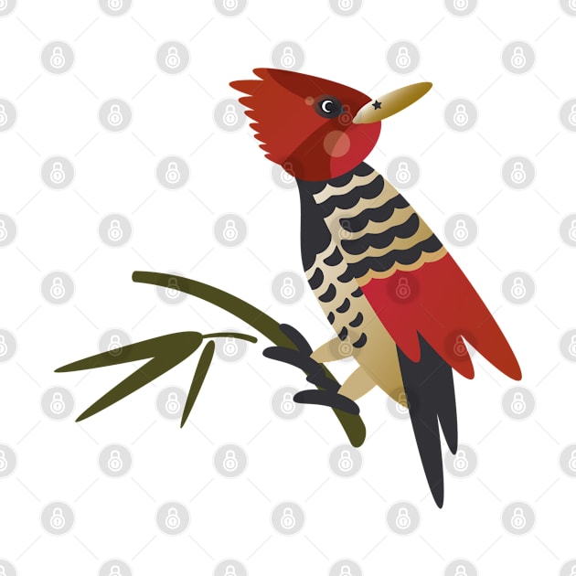 Cabecirrufo Woodpecker by Buen Corazón