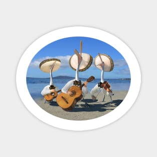 Pelican Mariachi band Magnet