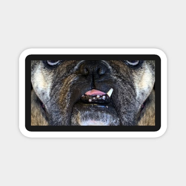 Killer Masks - Rosie The Bulldog-One Tooth Magnet by intofx