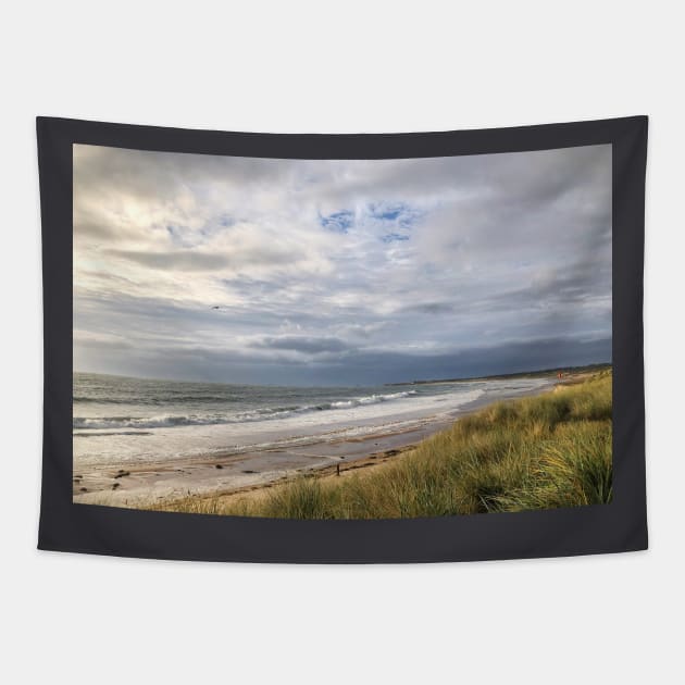 Blustery day on the beach Tapestry by Violaman