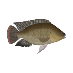 Mozambique Tilapia T-Shirt