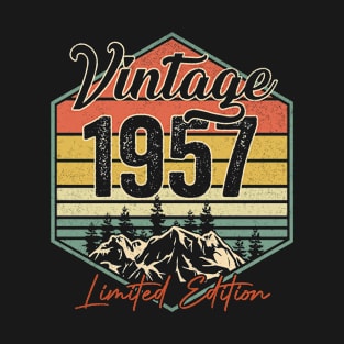 65 Year Old 65  Birthday Gifts Vintage 1957 Limited Edition T-Shirt