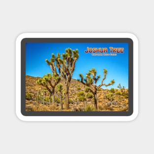 Joshua Tree National Park Magnet