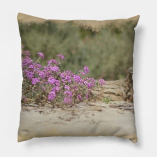 Vintage Look Desert Scene Digital Art Pillow