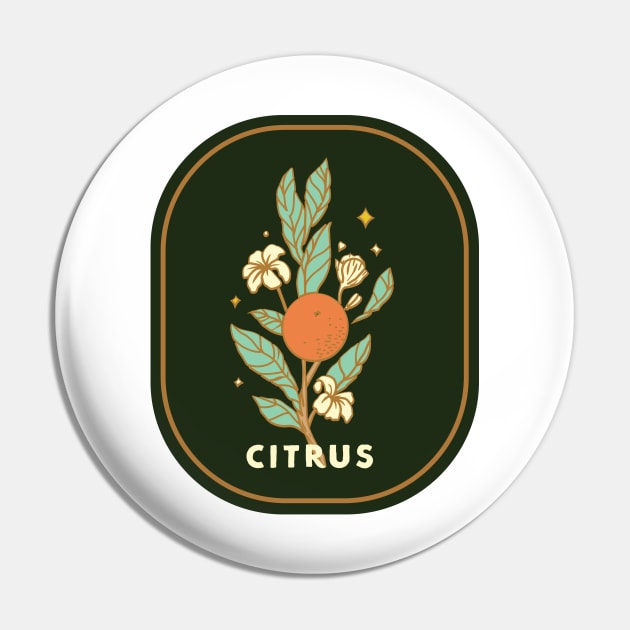 citrus Pin by Artofcuteness