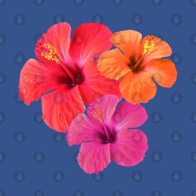 Red Orange Pink Hibiscus Flowers by mareescatharsis