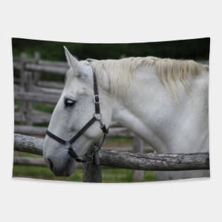 White Horse Tapestry