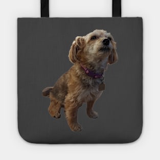 Brandy the Yorkie Tote