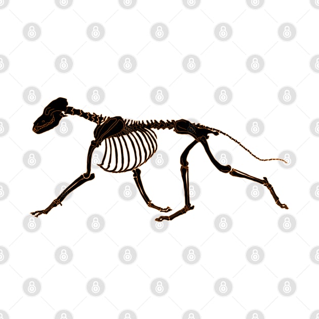 Halloween Design - Dog Skeleton by Earthy Fauna & Flora