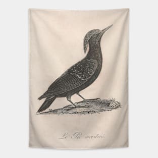 Le Tic Mordore Tapestry