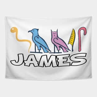 JAMES-American names in hieroglyphic letters-James, name in a Pharaonic Khartouch-Hieroglyphic pharaonic names Tapestry