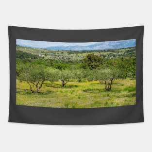 Olive Trees and Wild Flowers on Brac, Croatia Tapestry