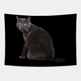 Russian Blue Cat Tapestry