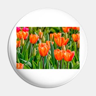 Orange tulips Pin