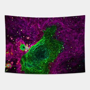 Black Panther Art - Glowing Edges 629 Tapestry