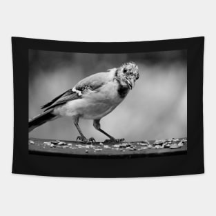 Young bluejay Tapestry