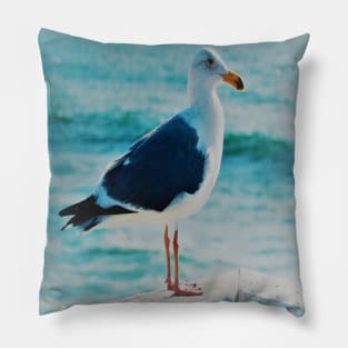 Solitary SeaGull looking into the Blue Pacific Ocean Coast Pillow