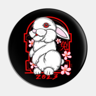 Year of the rabbit Pin