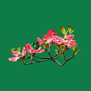 Dogwood - Pink Dogwood T-Shirt