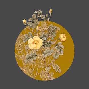 Vintage Yellow Sweetbriar Rose Botanical Illustration on Circle T-Shirt