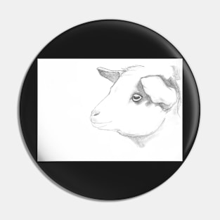 Goat pencil drawing greeting card by Nicole Janes Pin