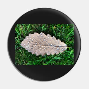 Leaf with Dewdrops Pin