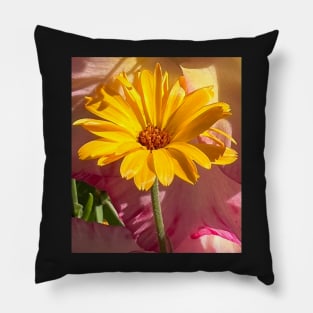 Rising Yellow Daisy Flower Pillow