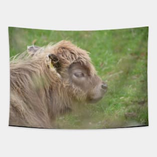 Calf / Swiss Artwork Photography Tapestry