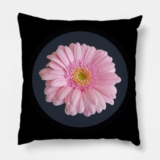 Pale Pink Gerbera Daisy Flower Circle Frame Pillow