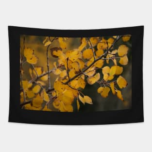 Fall Aspen Leaves 2 Tapestry