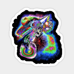 Official :2nd End; Psychedelic Enlightenment Magnet