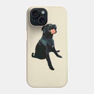 Kylo Phone Case