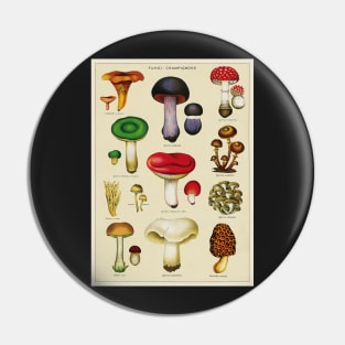 Vintage Fungi Chart Pin