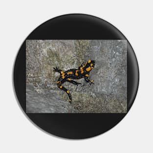 Fire Salamander on Rock Pin