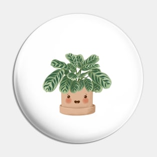 Cute Plant Illustration,  Calathea Burle-Marxii Amabilis 2 Pin