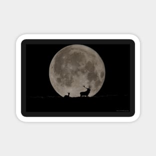 stags moon silhouette Magnet