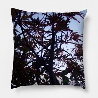 Silhouette of Maroon Maple Tree Pillow