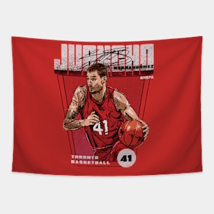 Juancho Hernangomez Toronto Premiere Tapestry