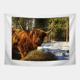 Scottish Highland Cattle Cow 2344 Tapestry