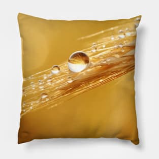 Wheat Water Drop Nature Serene Tranquil Pillow