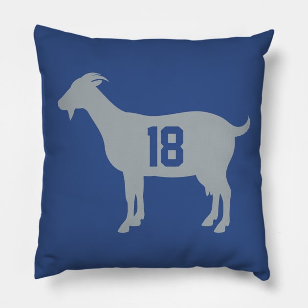 Indianapolis Colts Goat Pillow by N8I