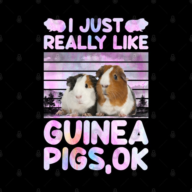 I Just Really Like Guinea Pigs Ok by reginaturner