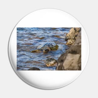 Honu Pin