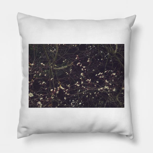 Constellation Pillow by hextrovert