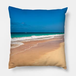 Seascape Pillow