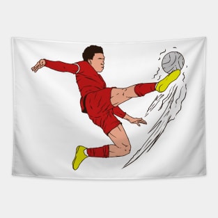 acrobatic kick Tapestry