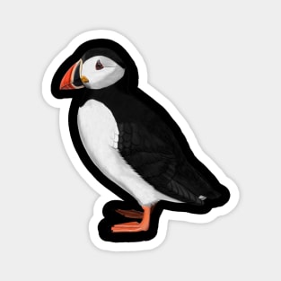 Puffin Bird Watching Birding Ornithologist Gift Magnet