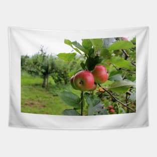 Ripe Red Apples Tapestry