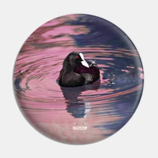 Coot / Swiss Artwork Photography Pin