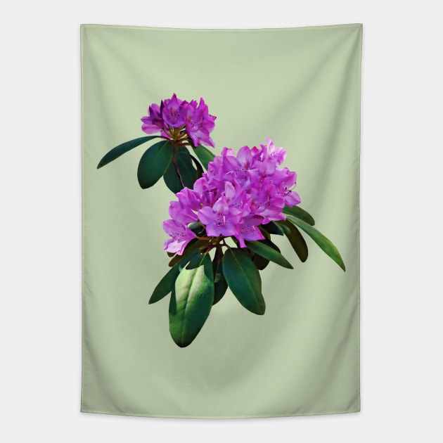 Lovely Pink Rhododendrons Tapestry by SusanSavad